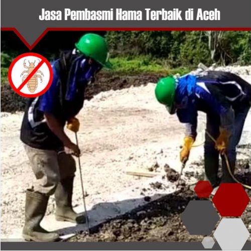 Jasa Pembasmi Hama Aceh