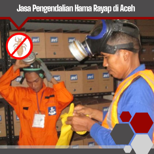 Pengendalian Hama Rayap Aceh